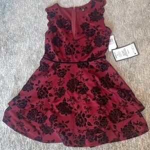 Womens Velvet Mini Fit & Flare Dress
